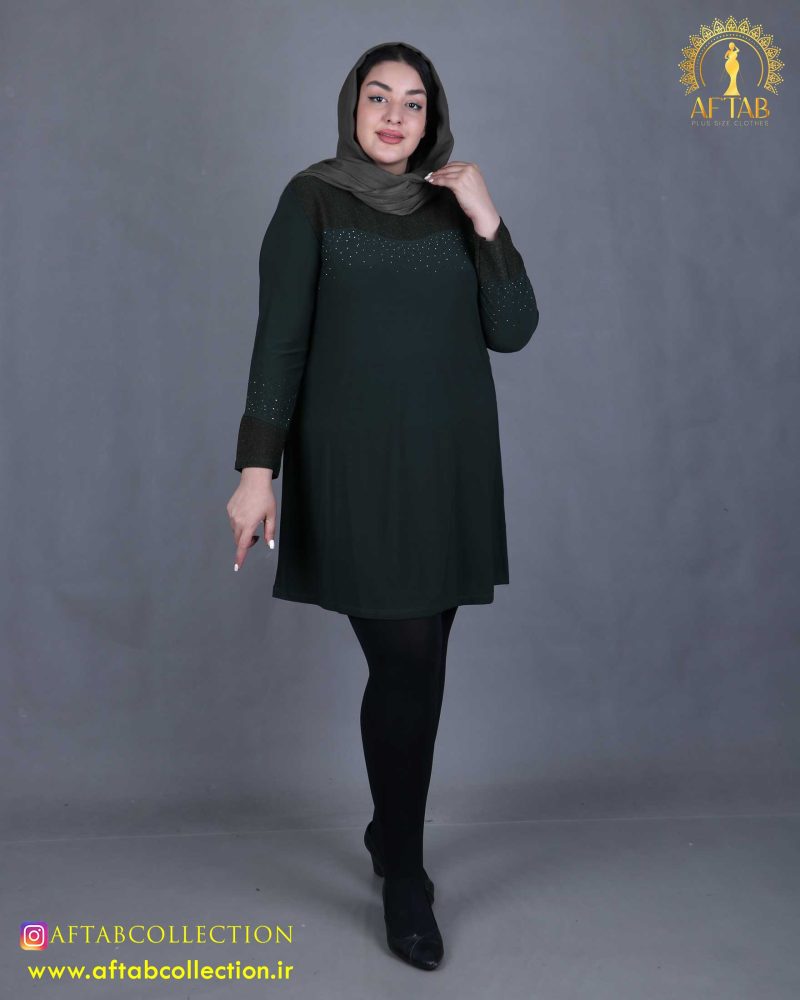 تونیک جودون بالا لمه سایزبزرگ سبز تونیک جودون بالا لمه سایزبزرگ سبز