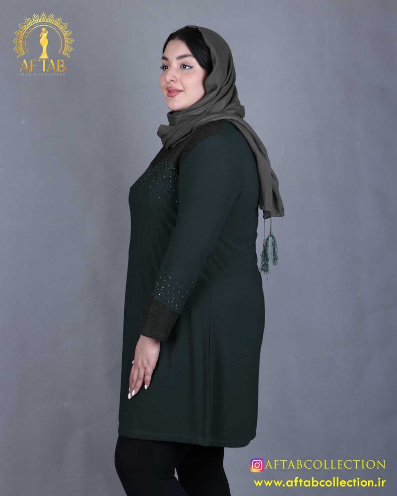 تونیک جودون بالا لمه سایزبزرگ سبز رنگ تونیک جودون بالا لمه سایزبزرگ سبز رنگ