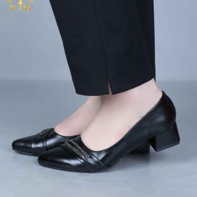 کفش مجلسی نگین دودی پابزرگ